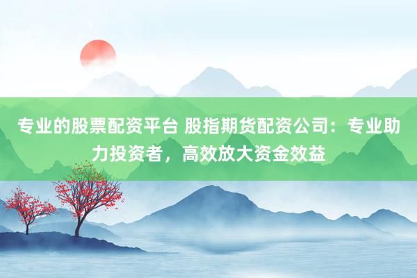 专业的股票配资平台 股指期货配资公司：专业助力投资者，高效放大资金效益