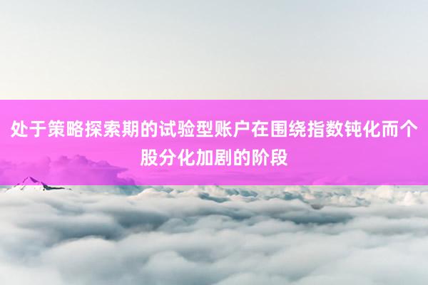 处于策略探索期的试验型账户在围绕指数钝化而个股分化加剧的阶段