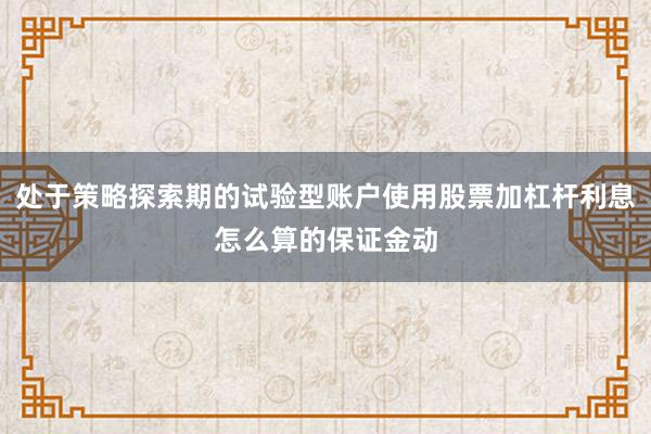 处于策略探索期的试验型账户使用股票加杠杆利息怎么算的保证金动