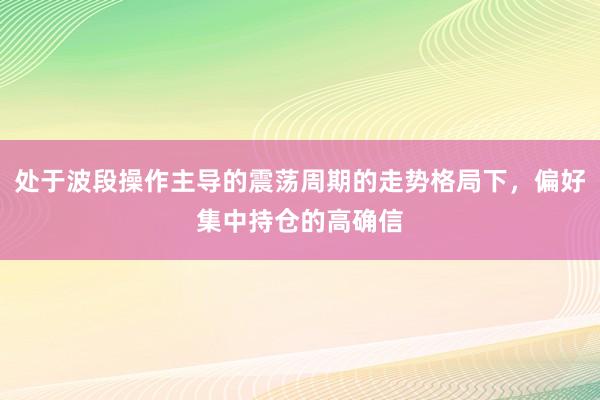 处于波段操作主导的震荡周期的走势格局下，偏好集中持仓的高确信