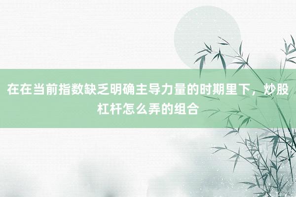 在在当前指数缺乏明确主导力量的时期里下，炒股杠杆怎么弄的组合