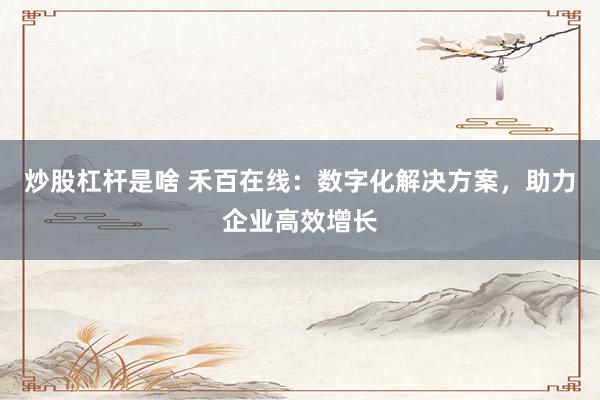 炒股杠杆是啥 禾百在线：数字化解决方案，助力企业高效增长