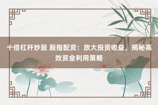 十倍杠杆炒股 股指配资：放大投资收益，揭秘高效资金利用策略