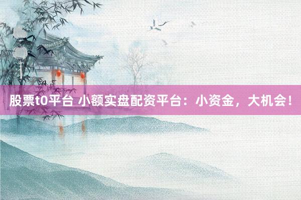 股票t0平台 小额实盘配资平台:小资金,大机会!