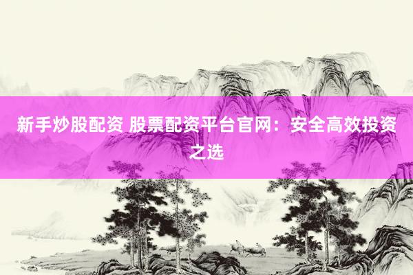 新手炒股配资 股票配资平台官网：安全高效投资之选